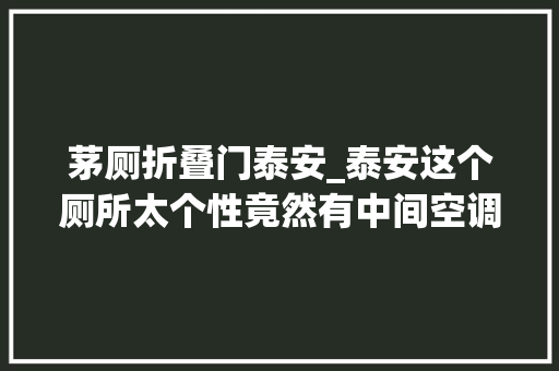茅厕折叠门泰安_泰安这个厕所太个性竟然有中间空调淋浴间厨房