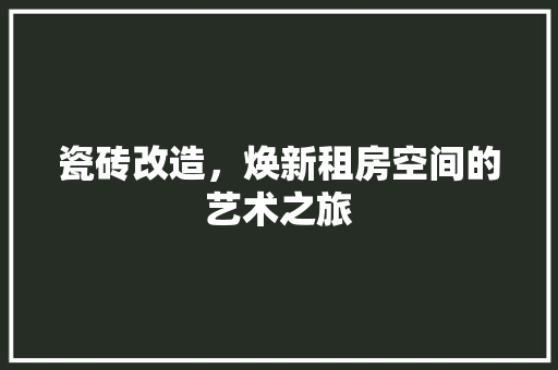 瓷砖改造，焕新租房空间的艺术之旅
