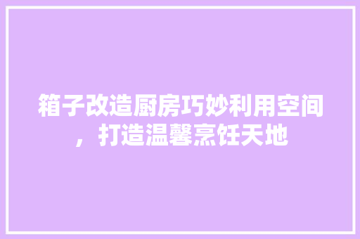 箱子改造厨房巧妙利用空间，打造温馨烹饪天地
