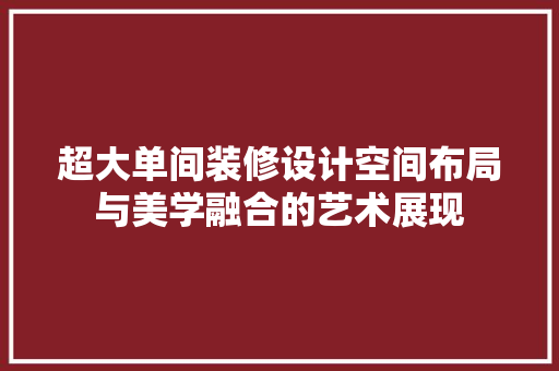 超大单间装修设计空间布局与美学融合的艺术展现