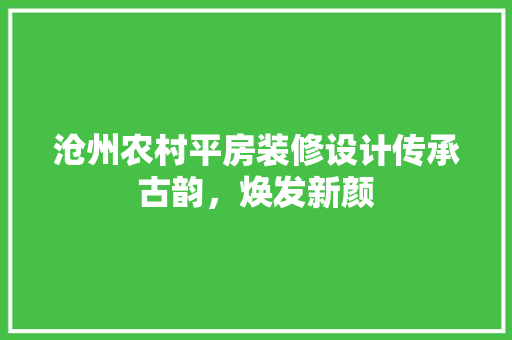 沧州农村平房装修设计传承古韵，焕发新颜