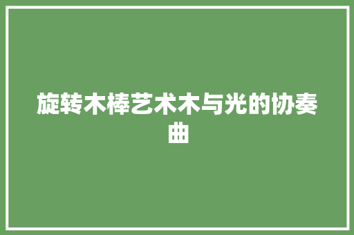 旋转木棒艺术木与光的协奏曲