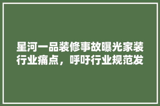 星河一品装修事故曝光家装行业痛点，呼吁行业规范发展
