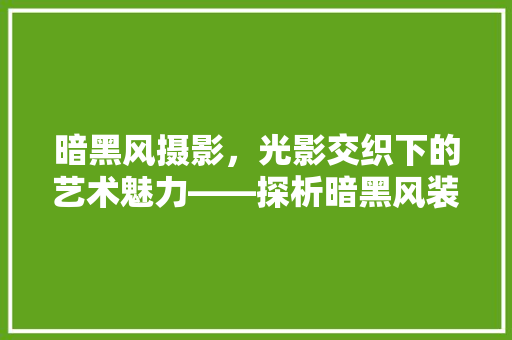 暗黑风摄影，光影交织下的艺术魅力——探析暗黑风装修摄影的方法与推荐