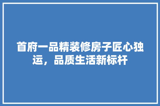 首府一品精装修房子匠心独运，品质生活新标杆