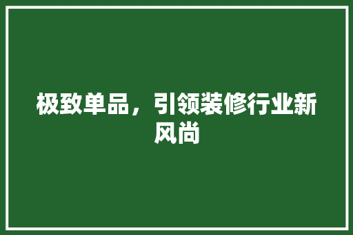 极致单品，引领装修行业新风尚