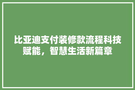 比亚迪支付装修款流程科技赋能，智慧生活新篇章