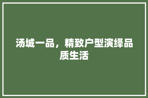 汤城一品，精致户型演绎品质生活