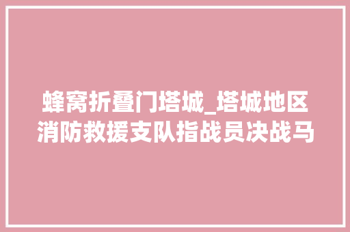 蜂窝折叠门塔城_塔城地区消防救援支队指战员决战马蜂窝为平易近解忧