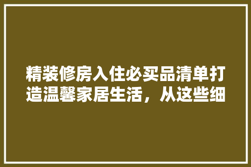 精装修房入住必买品清单打造温馨家居生活，从这些细节开始