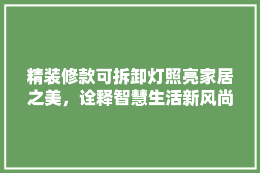 精装修款可拆卸灯照亮家居之美，诠释智慧生活新风尚