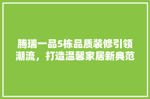 腾瑞一品5栋品质装修引领潮流，打造温馨家居新典范