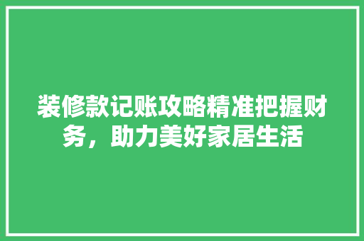 装修款记账攻略精准把握财务，助力美好家居生活