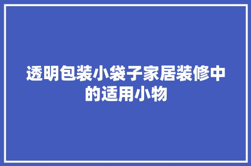 透明包装小袋子家居装修中的适用小物