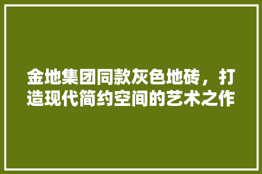 金地集团同款灰色地砖，打造现代简约空间的艺术之作