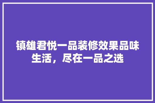 镇雄君悦一品装修效果品味生活，尽在一品之选