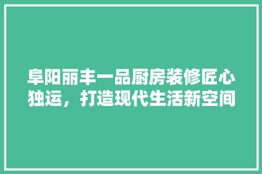 阜阳丽丰一品厨房装修匠心独运，打造现代生活新空间