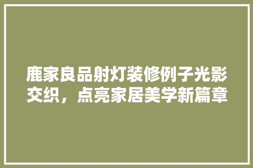 鹿家良品射灯装修例子光影交织，点亮家居美学新篇章