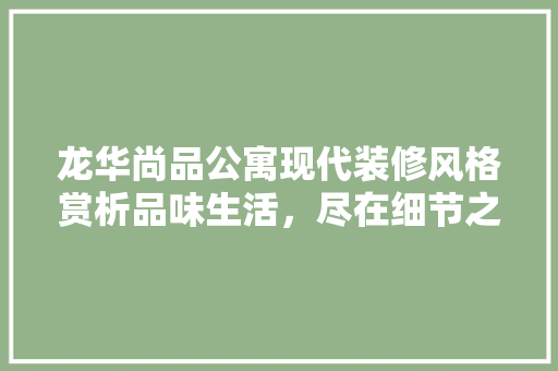 龙华尚品公寓现代装修风格赏析品味生活，尽在细节之中