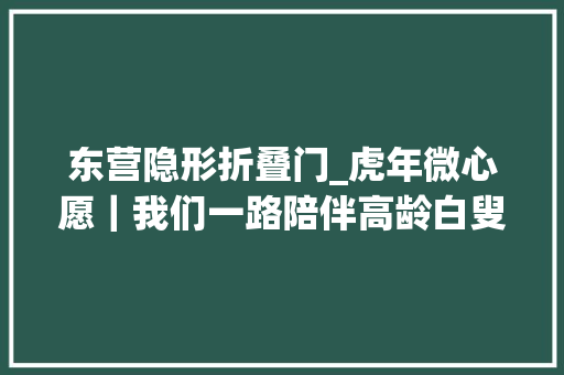 东营隐形折叠门_虎年微心愿｜我们一路陪伴高龄白叟热闹过小年