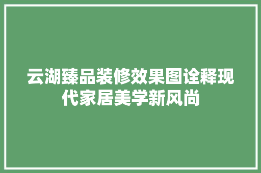 云湖臻品装修效果图诠释现代家居美学新风尚