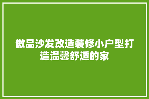 傲品沙发改造装修小户型打造温馨舒适的家