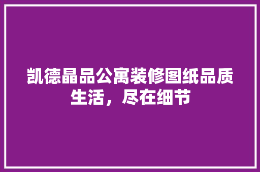 凯德晶品公寓装修图纸品质生活，尽在细节