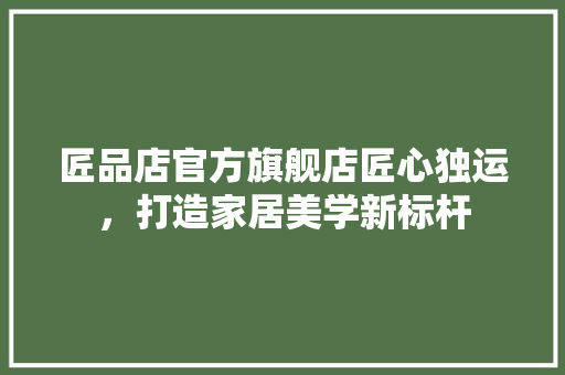 匠品店官方旗舰店匠心独运，打造家居美学新标杆