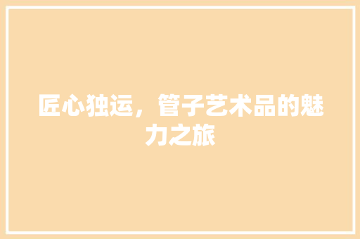 匠心独运，管子艺术品的魅力之旅