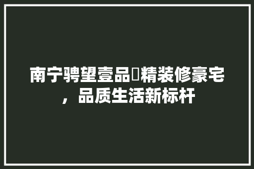 南宁骋望壹品峯精装修豪宅，品质生活新标杆