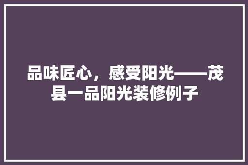品味匠心，感受阳光——茂县一品阳光装修例子