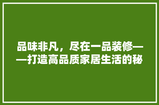 品味非凡，尽在一品装修——打造高品质家居生活的秘密武器