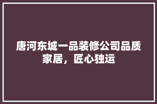 唐河东城一品装修公司品质家居，匠心独运