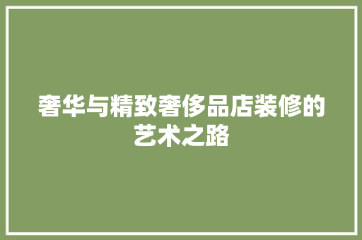 奢华与精致奢侈品店装修的艺术之路