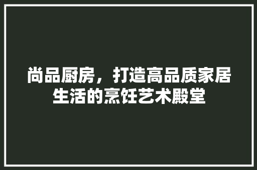 尚品厨房，打造高品质家居生活的烹饪艺术殿堂