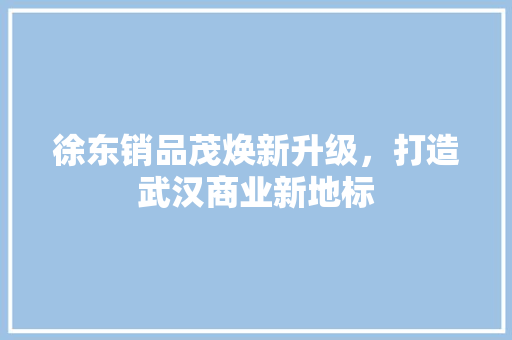 徐东销品茂焕新升级，打造武汉商业新地标