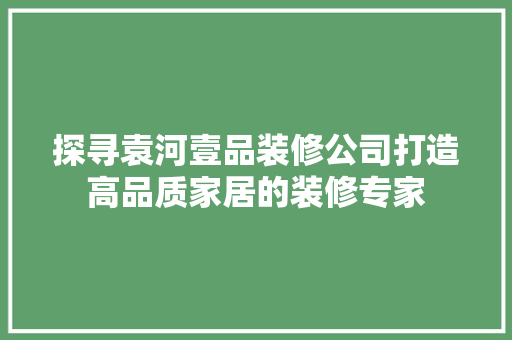 探寻袁河壹品装修公司打造高品质家居的装修专家
