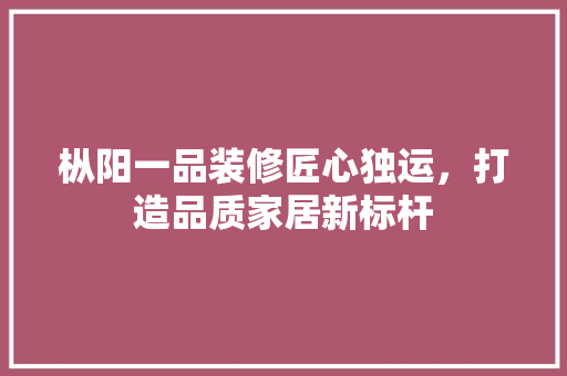 枞阳一品装修匠心独运，打造品质家居新标杆