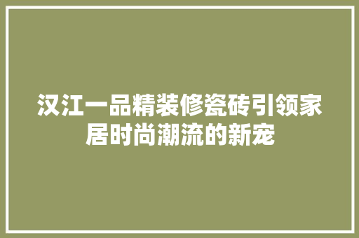 汉江一品精装修瓷砖引领家居时尚潮流的新宠