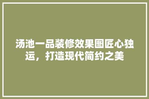 汤池一品装修效果图匠心独运，打造现代简约之美