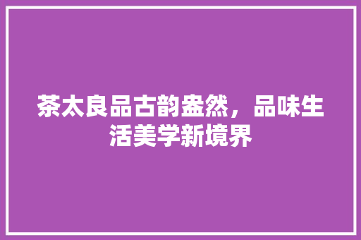 茶太良品古韵盎然，品味生活美学新境界