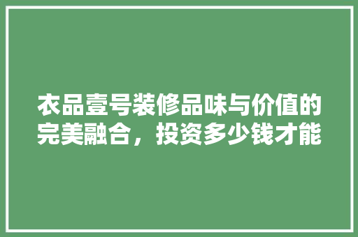 衣品壹号装修品味与价值的完美融合，投资多少钱才能享受到高端体验