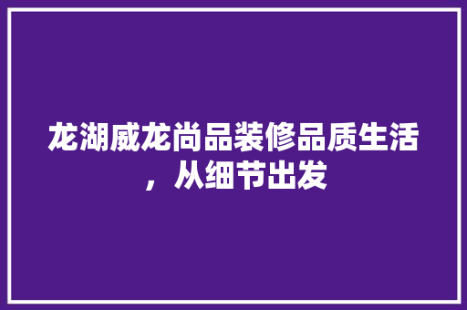 龙湖威龙尚品装修品质生活，从细节出发