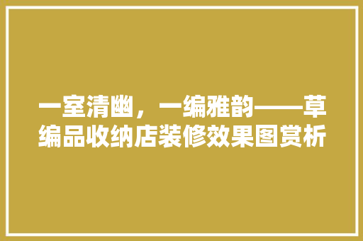 一室清幽，一编雅韵——草编品收纳店装修效果图赏析