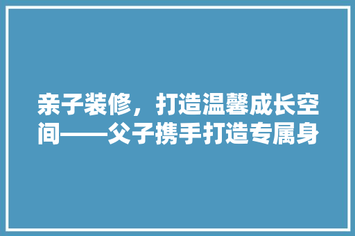 亲子装修，打造温馨成长空间——父子携手打造专属身款