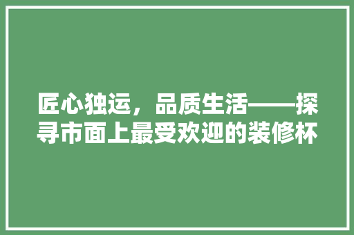 匠心独运，品质生活——探寻市面上最受欢迎的装修杯子