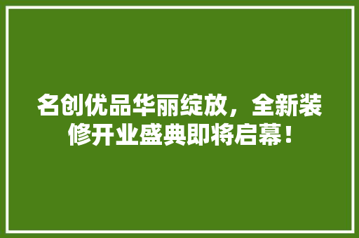 名创优品华丽绽放，全新装修开业盛典即将启幕！