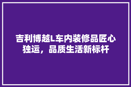 吉利博越L车内装修品匠心独运，品质生活新标杆