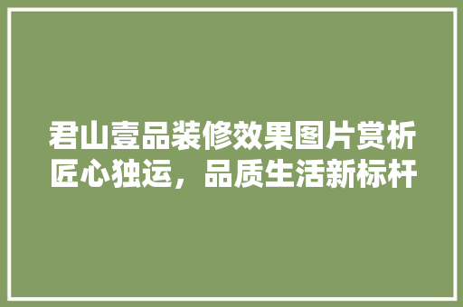 君山壹品装修效果图片赏析匠心独运，品质生活新标杆