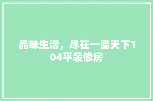 品味生活，尽在一品天下104平装修房
